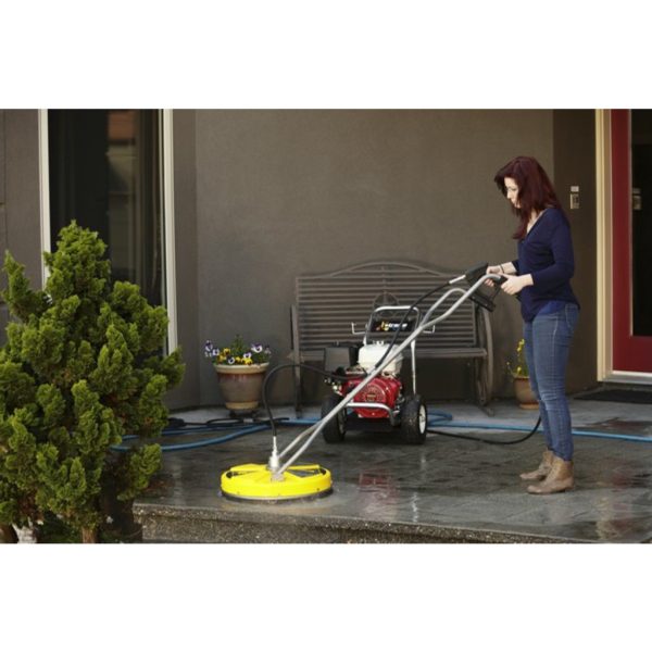 Whirlaway 20" - Image 3