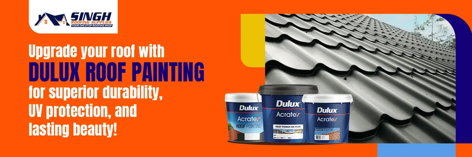 The Advantages of Deluxe Roof Painting Over Ordinary Roof Paint 